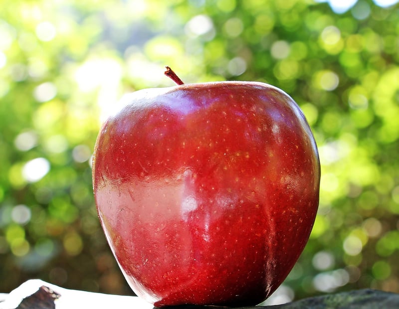 Organic Produce